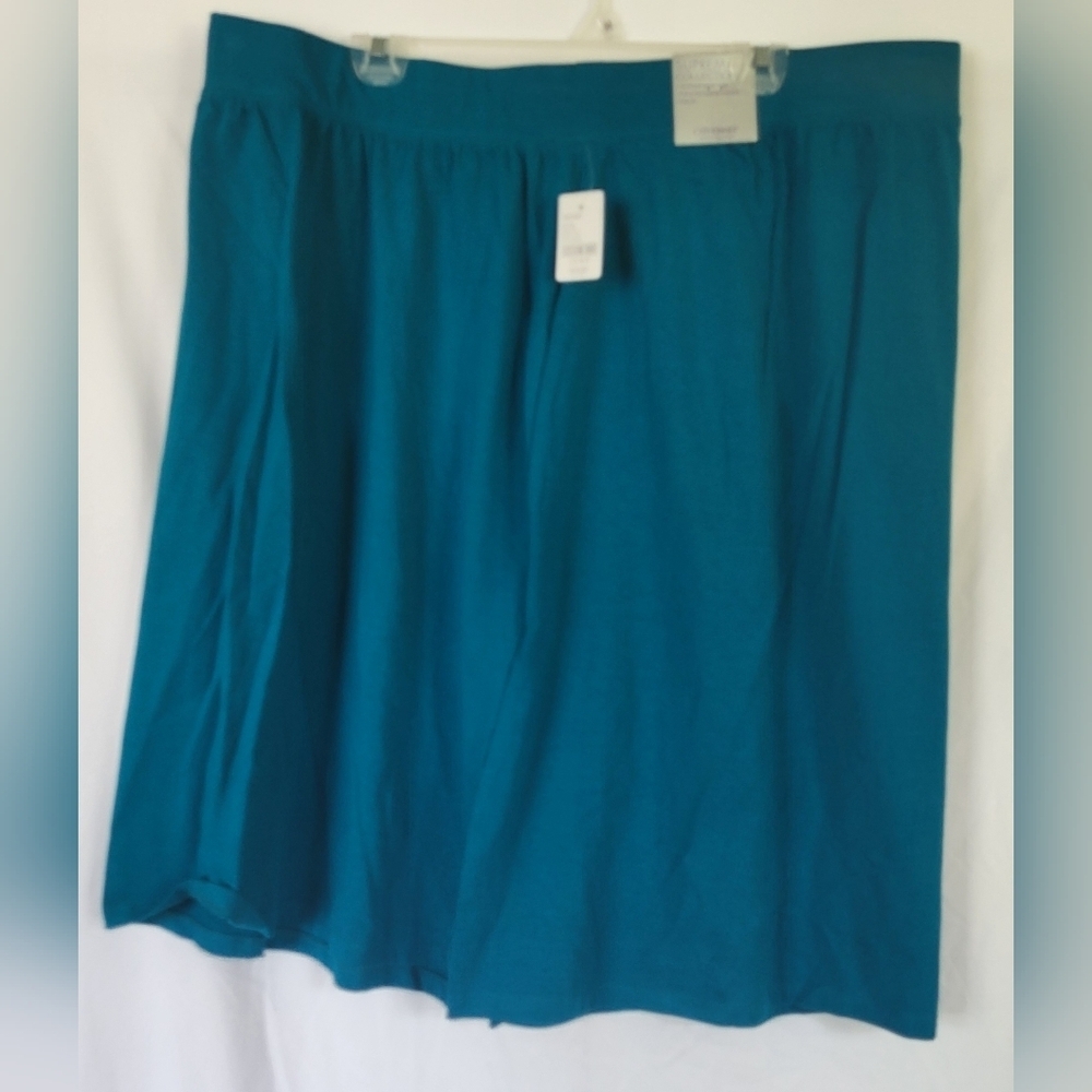 NWT Catherines 2XWP Teal Skirt - Picture 4 of 8